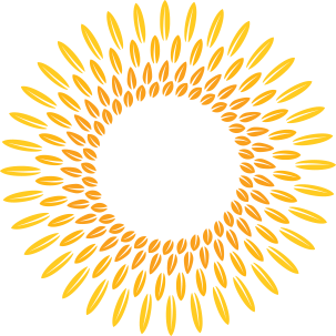 Rice from the farms of southern Brazil